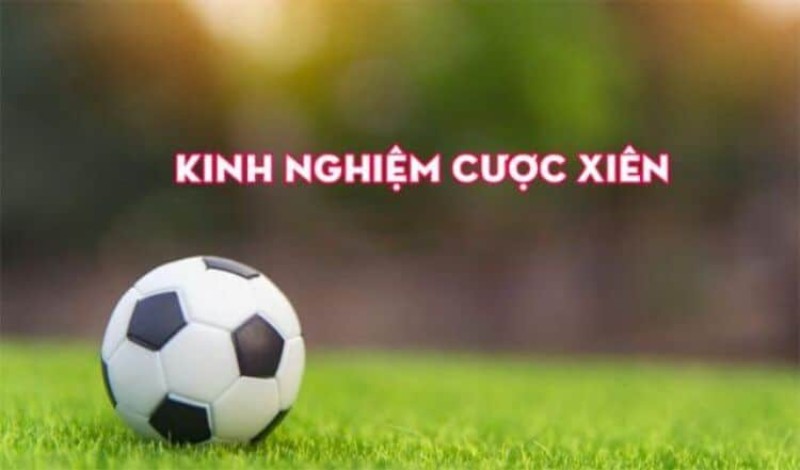 Khám phá và nghiên cứu trước khi đặt cược xiên bóng đá